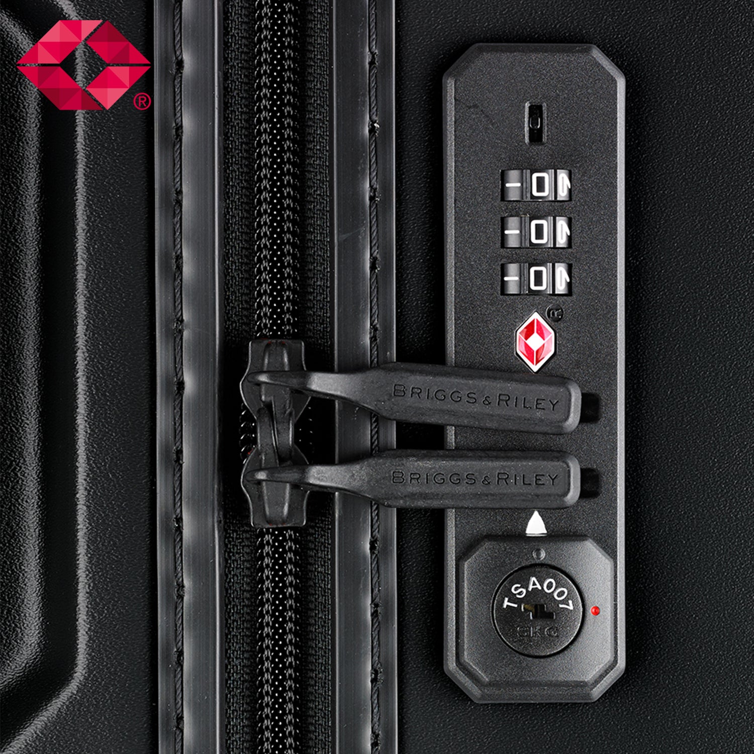 TORQ EXTRA LARGE TRUNK SPINNER